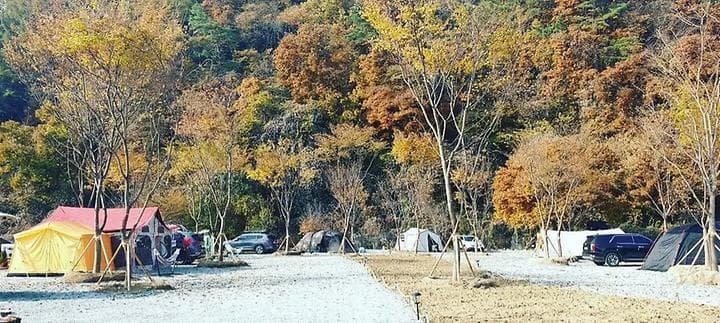 아우어캄푸스 사진