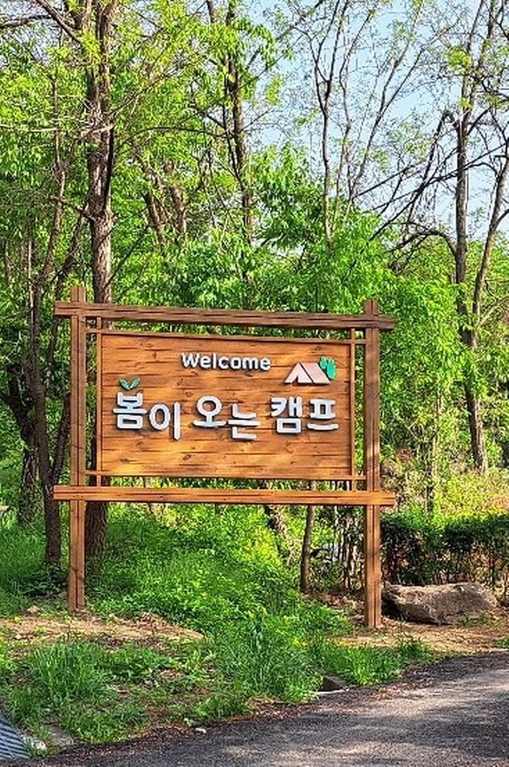 봄이오는 캠프 사진