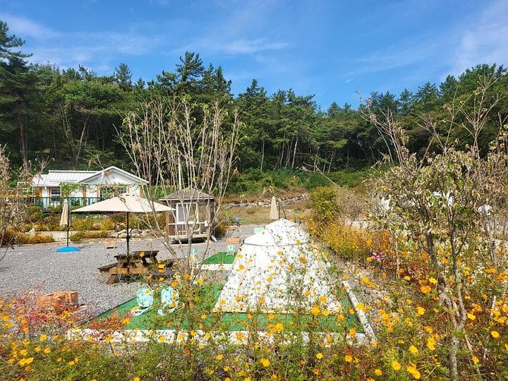 사천파인트리캠핑장 사진