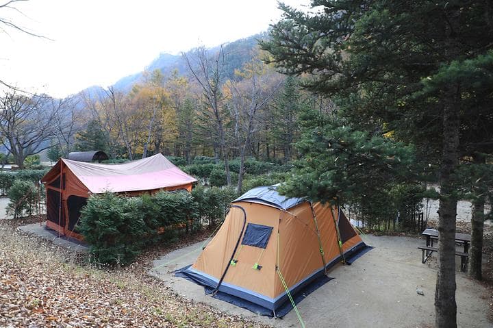 금대자동차야영장(치악산국립공원) 사진