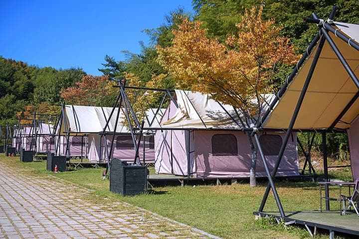 담양금성산성 오토캠핑장 사진
