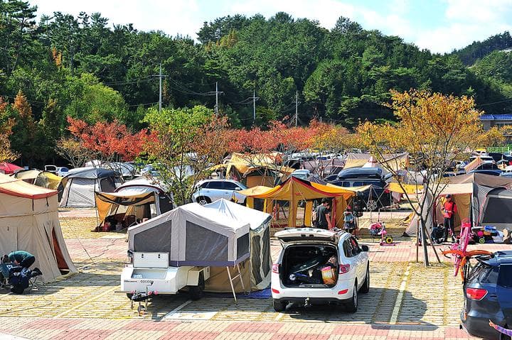 당항포관광지 오토캠핑장 사진