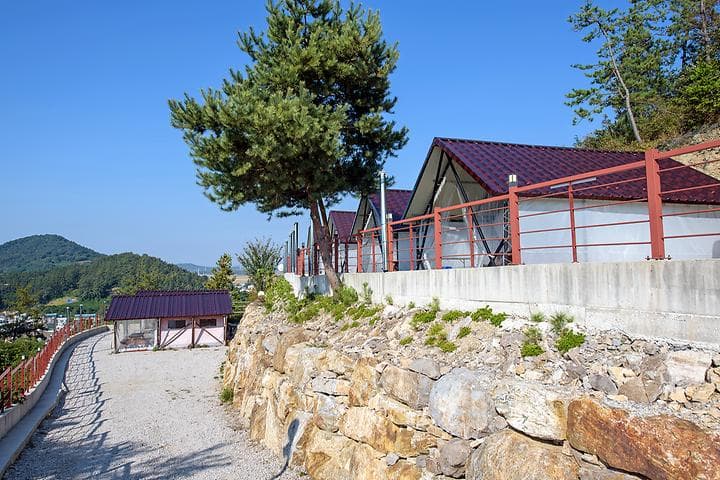 대덕 관광농원 사진