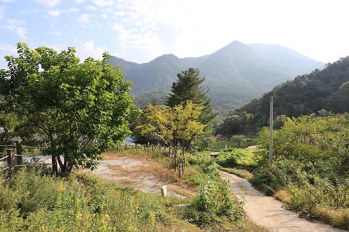 산대분교공공캠핑장 사진