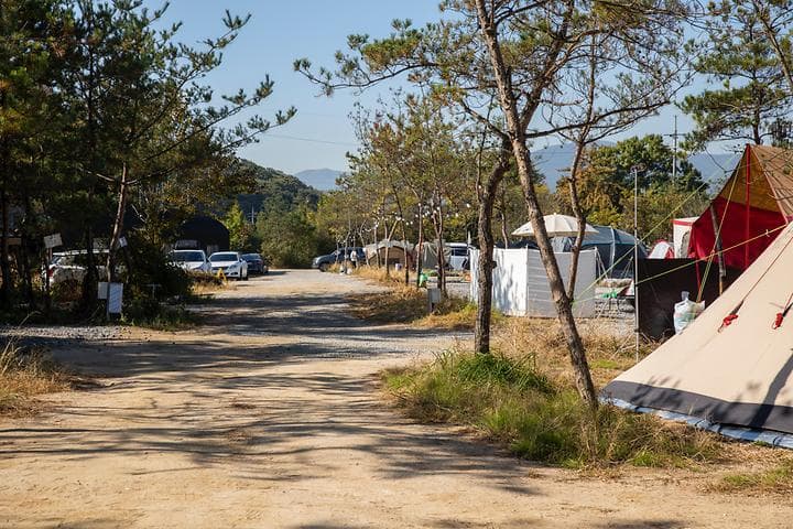 양주 리온 캠핑장 사진