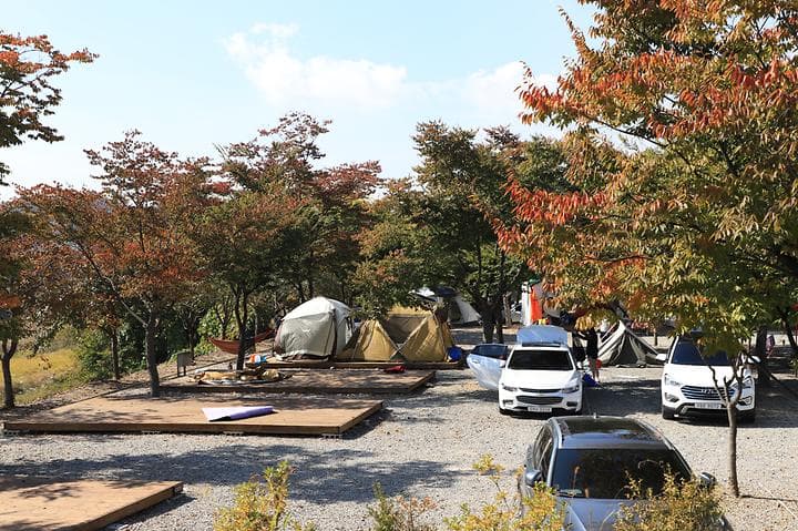 로하스캠핑 사진