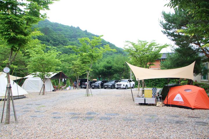 캠프 고토일 캠핑장 사진