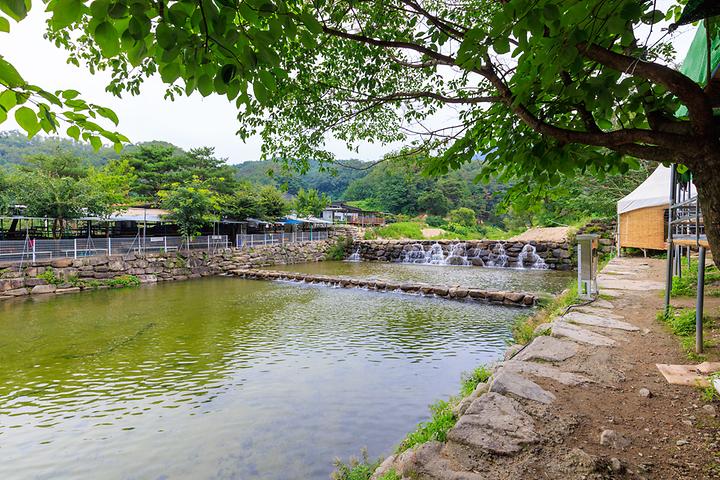 팔공 쉼터 야영장 캠핑장 사진