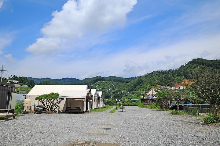 청춘 글램핑 카라반 캠핑장 사진