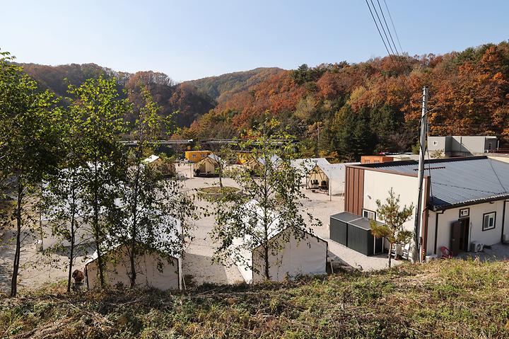 호랑이캠핑 캠핑장 사진