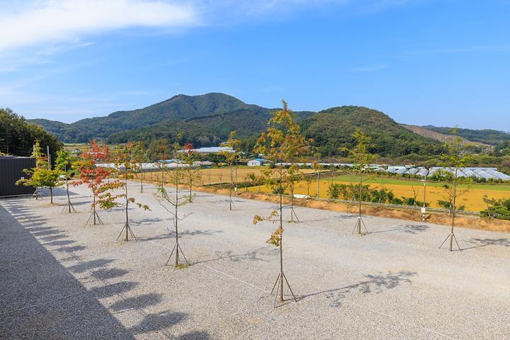 진천포레스트캠핑장 캠핑장 사진