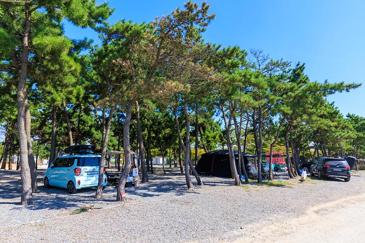 어은돌오토캠핑장 캠핑장 사진