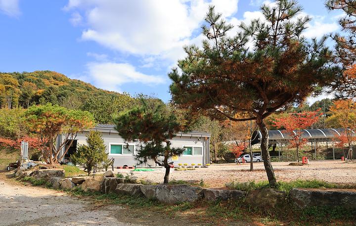 포천그린별캠핑장 캠핑장 사진