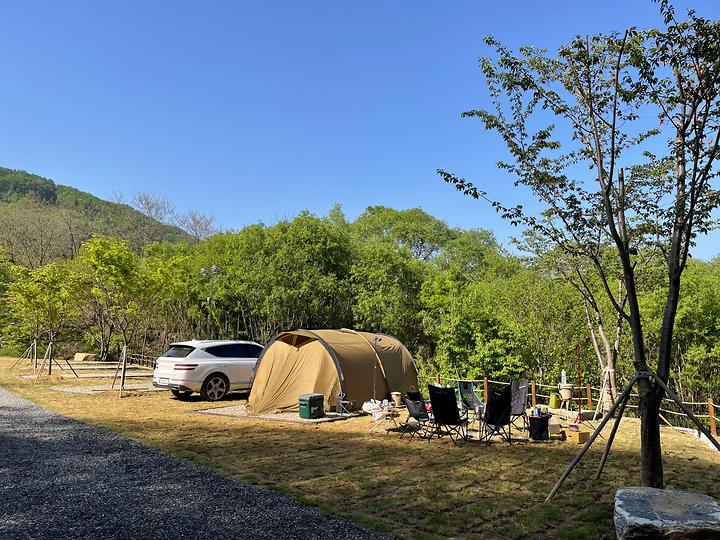 울미숲야영장 캠핑장 사진