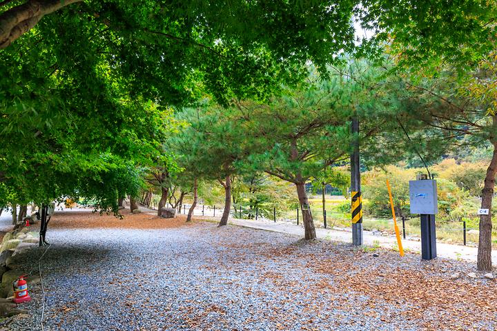 포레스트캐빈앤캠프 캠핑장 사진