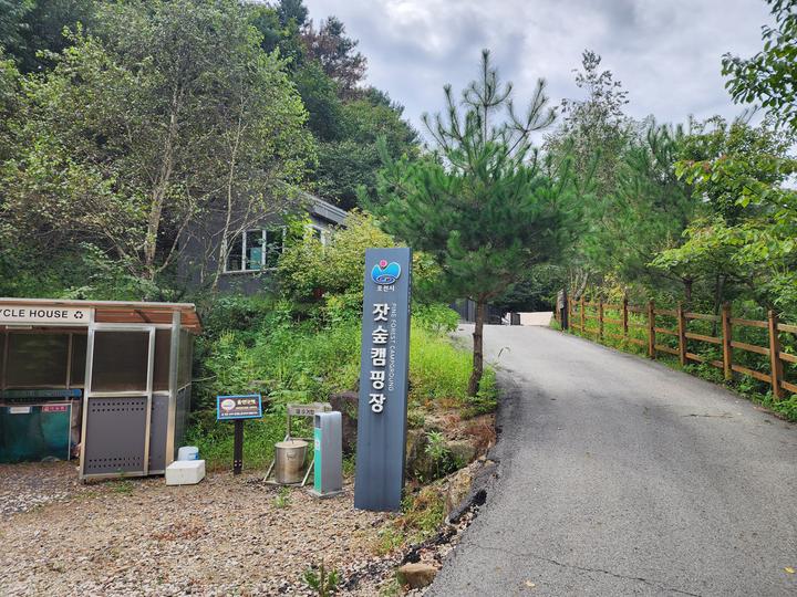 잣숲캠핑장 캠핑장 사진