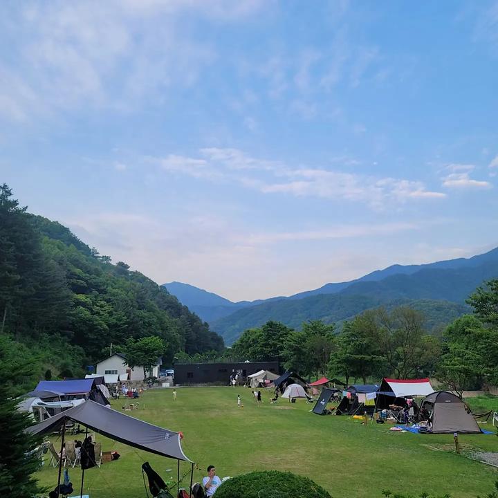 캠프99 캠핑장 사진