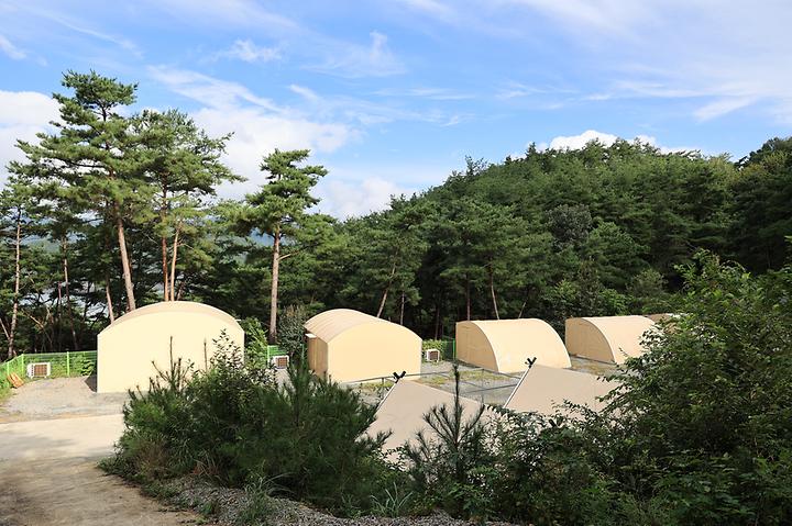 현대야영장 캠핑장 사진
