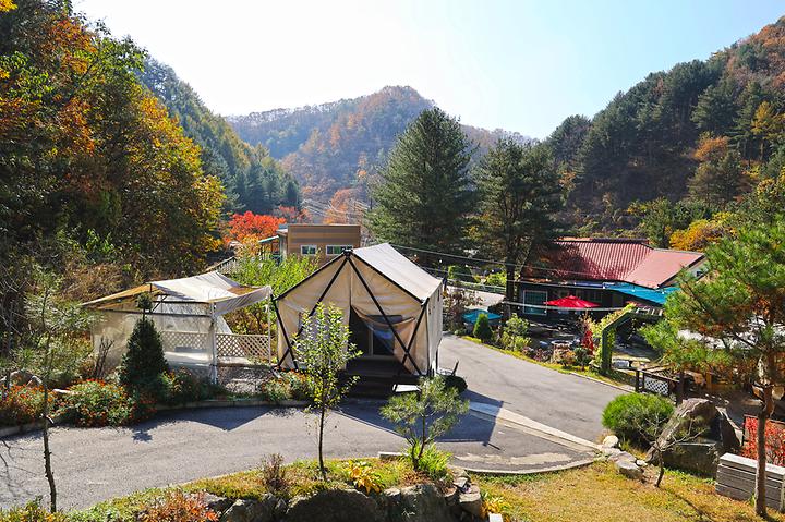 테라스527 캠핑장 캠핑장 사진
