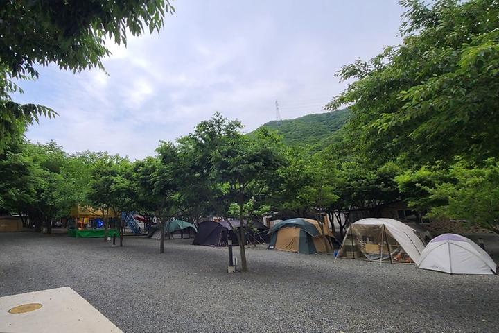 알프스캠핑 캠핑장 사진
