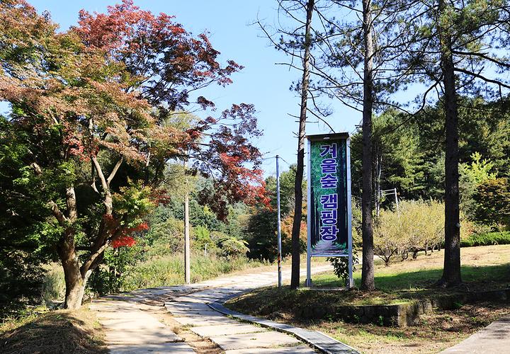 (주)구들택 겨울숲 지점 캠핑장 사진