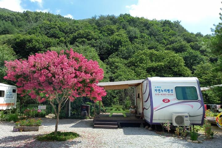 소백산자연누리야영장 캠핑장 사진