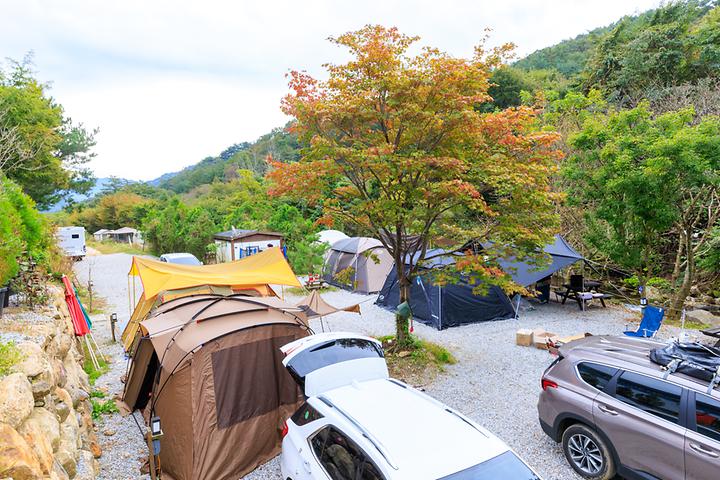 라온밸리캠핑장 캠핑장 사진