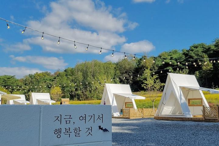 논논캠프 캠핑장 사진