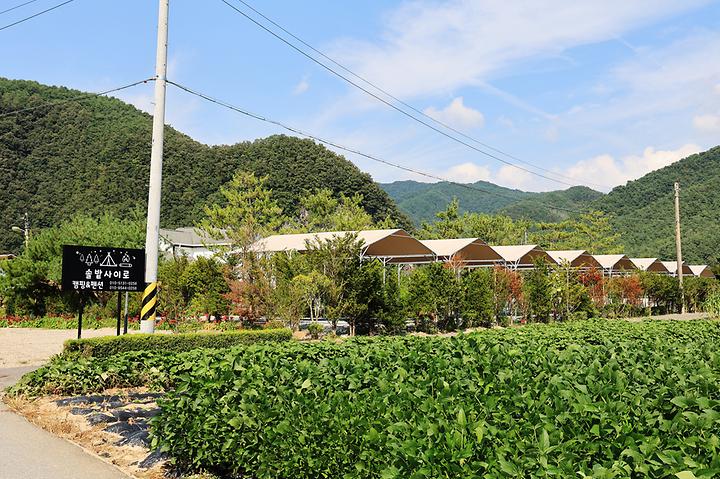 올캠프(ALL camp) 캠핑장 사진