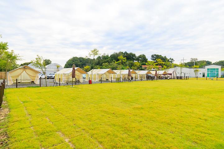 잭슨글램핑 캠핑장 사진