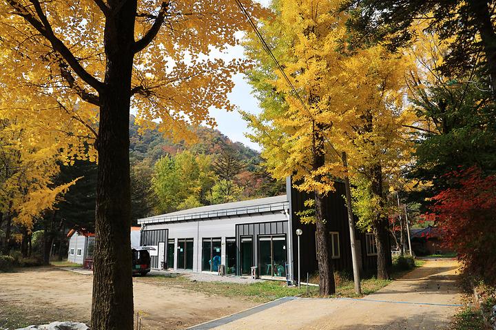 일영Star캠핑장 캠핑장 사진