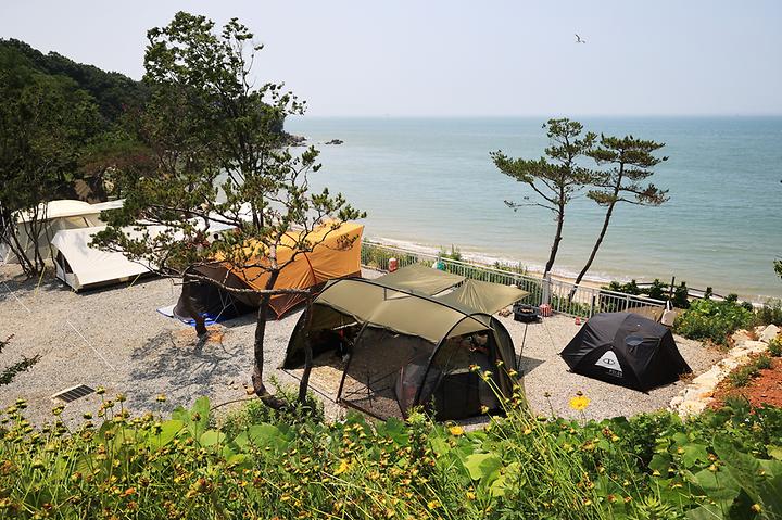 영흥도어울림캠핑장 캠핑장 사진