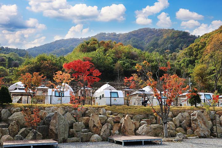 스토리숲(story숲) 캠핑장 사진