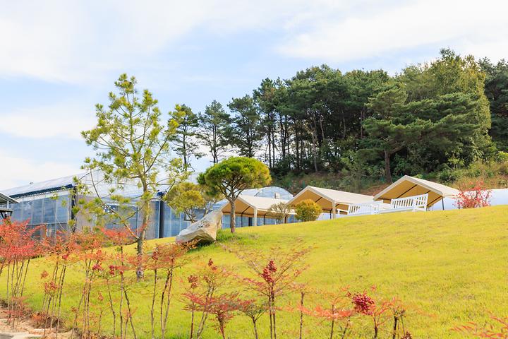 세제골농원 숲속야영장 캠핑장 사진