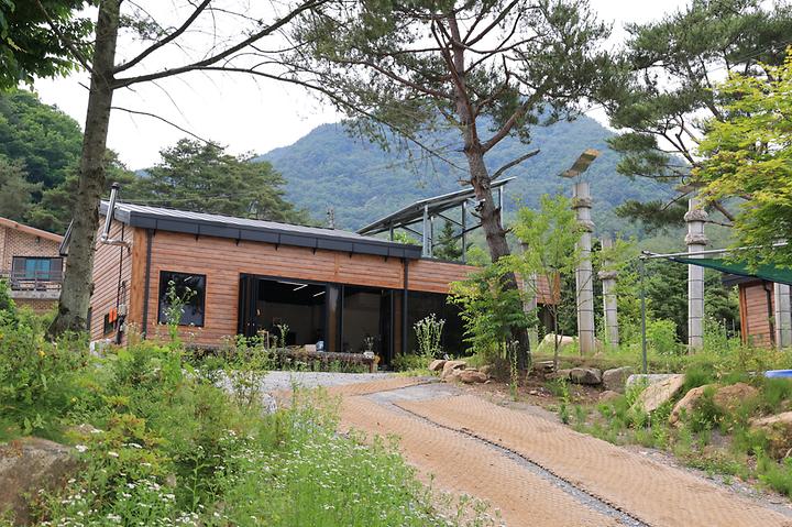 힐링인더 포레스트 캠핑장 사진