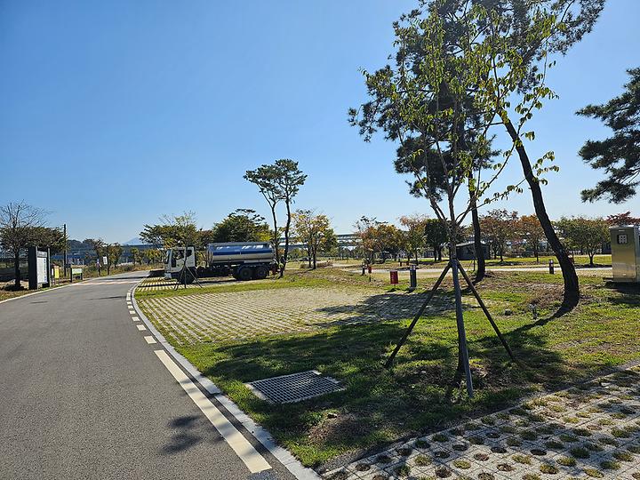 충주 목계솔밭 캠핑장 캠핑장 사진