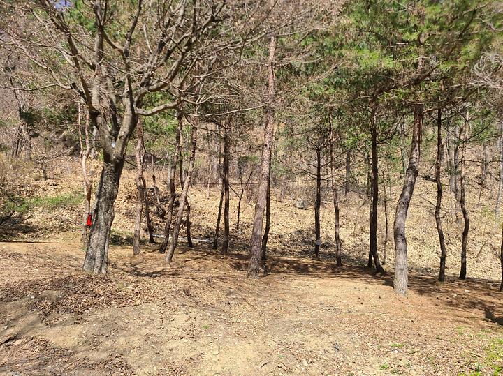홍천에코밸리 캠핑장 캠핑장 사진