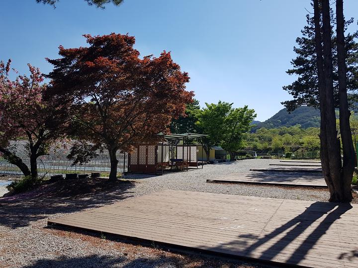 양지마을야영장 캠핑장 사진