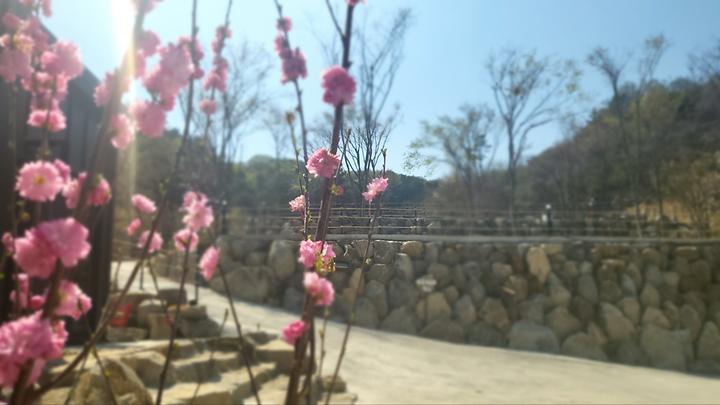 다문188캠핑장 캠핑장 사진