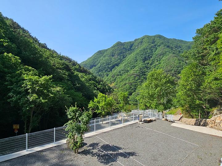 청학동별빛캠핑장 캠핑장 사진