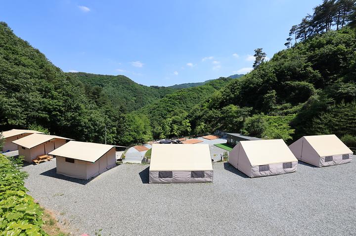 비발디캠핑파크 미루나무점 캠핑장 사진