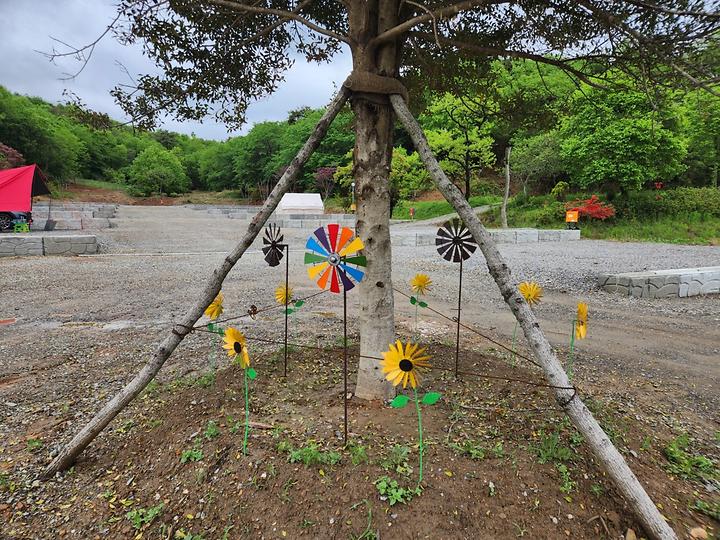 푸르미르 관광농원 캠핑장 사진