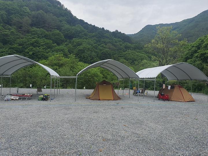 하우스 캠핑장 캠핑장 사진