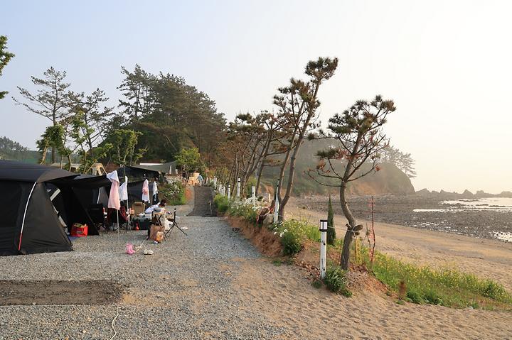 파도와노을캠핑장 캠핑장 사진