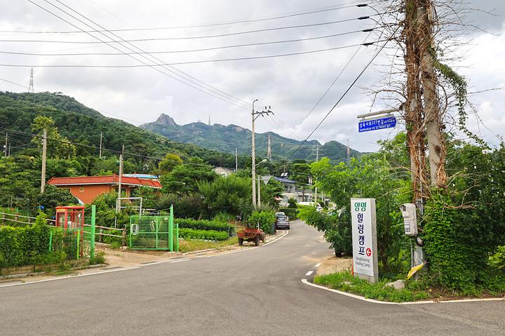 양명힐링캠프 캠핑장 사진