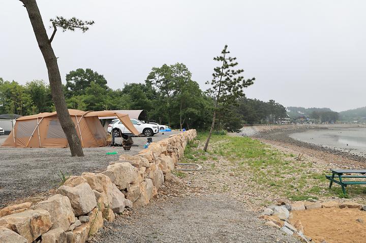 태안머드오토캠핑 캠핑장 사진