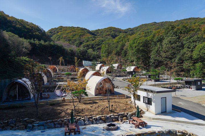 몽키캠핑장 캠핑장 사진