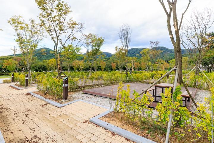 내장산국립공원 내장호야영장 캠핑장 사진