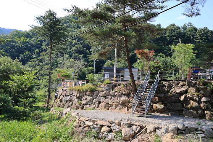 별숲캠핑장 캠핑장 사진