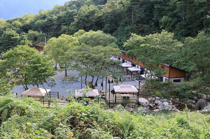 솔솔리조트 캠핑장 사진